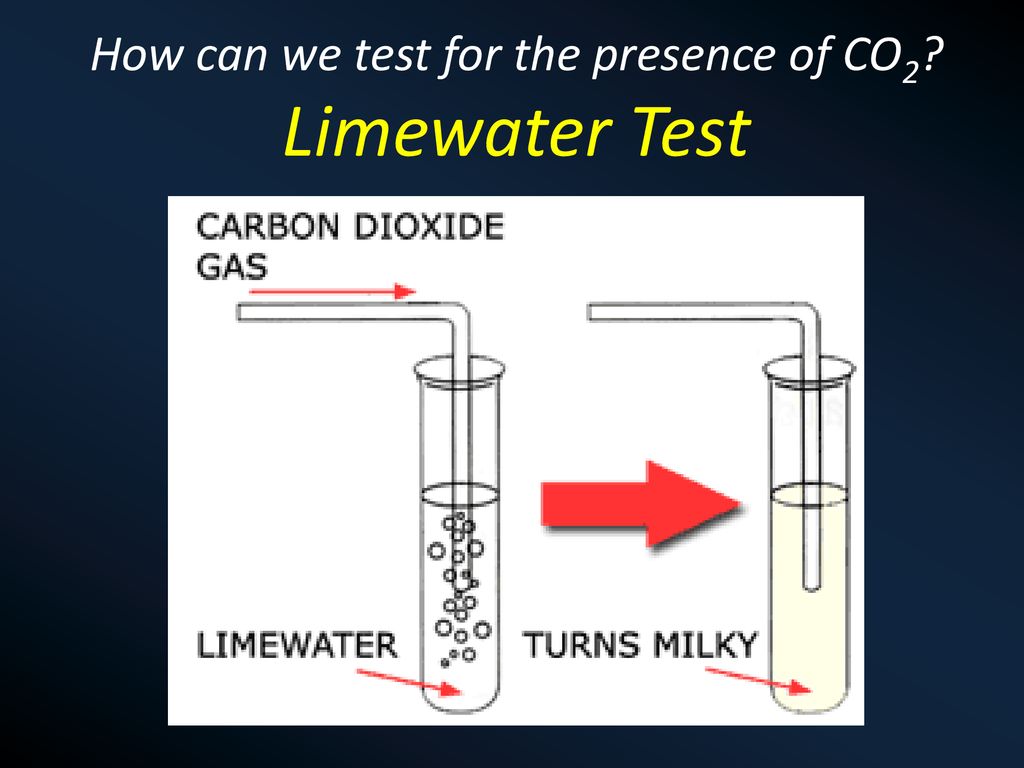 23 / 05 Tuesday Kaupapa: Describe how to perform a common laboratory test  for carbon dioxide. - ppt download