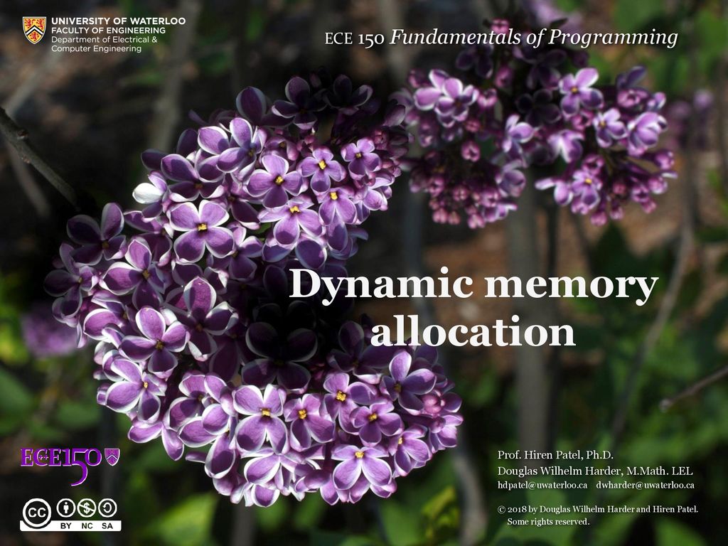 Dynamic memory allocation - ppt download