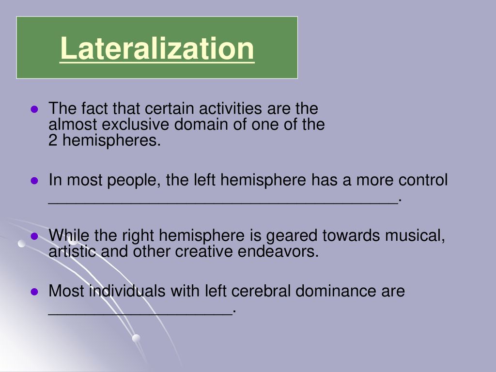 Central Nervous System - ppt download