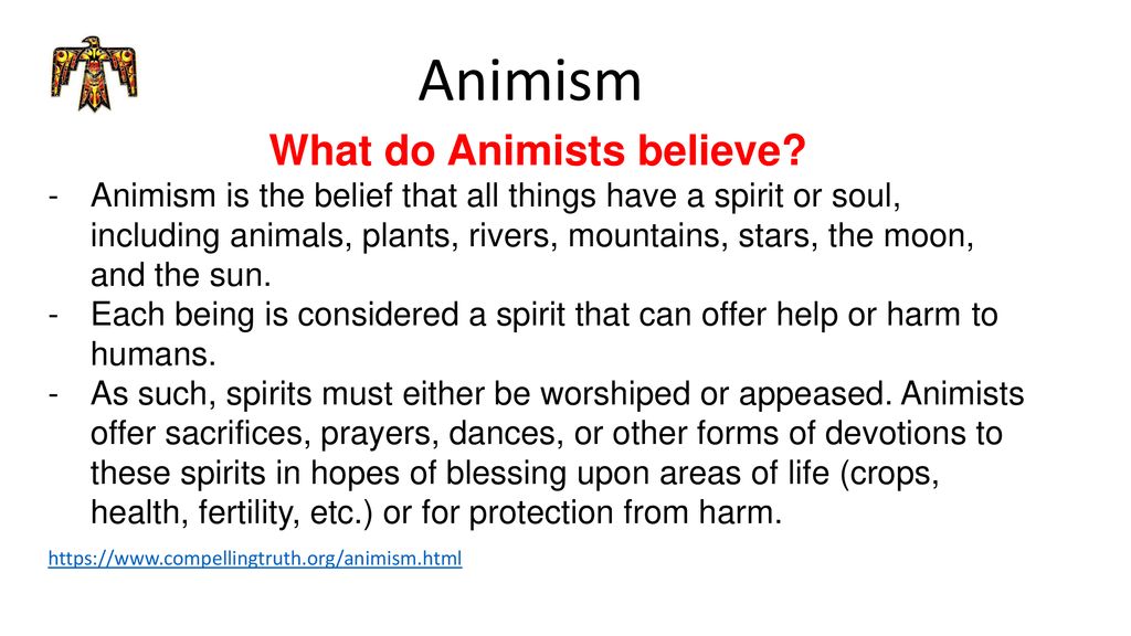 Animism What is Animism? - ppt download