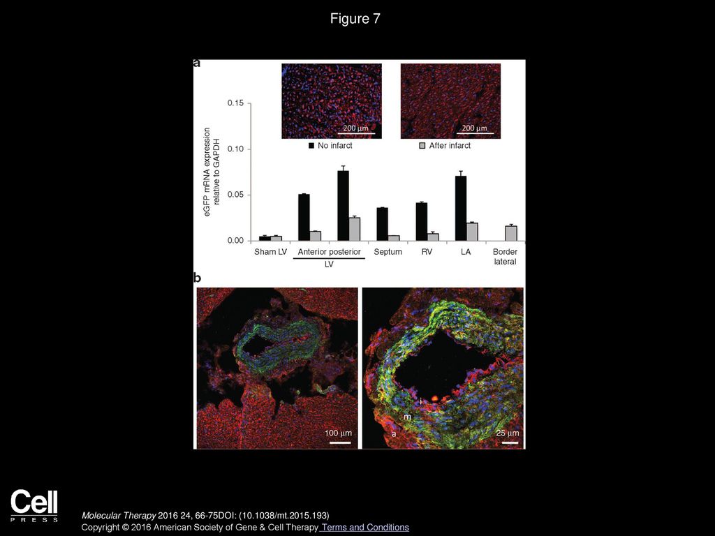 Volume 24, Issue 1, Pages (January 2016) - ppt download