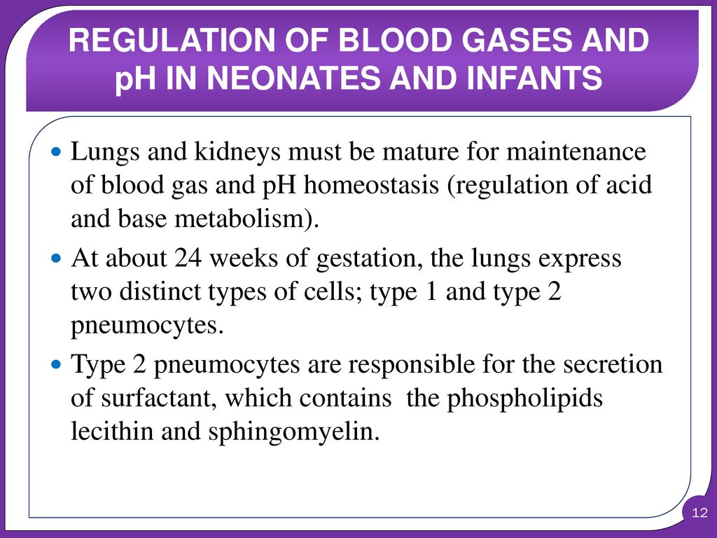 REGULATION OF BLOOD GASES AND pH IN NEONATES AND INFANTS