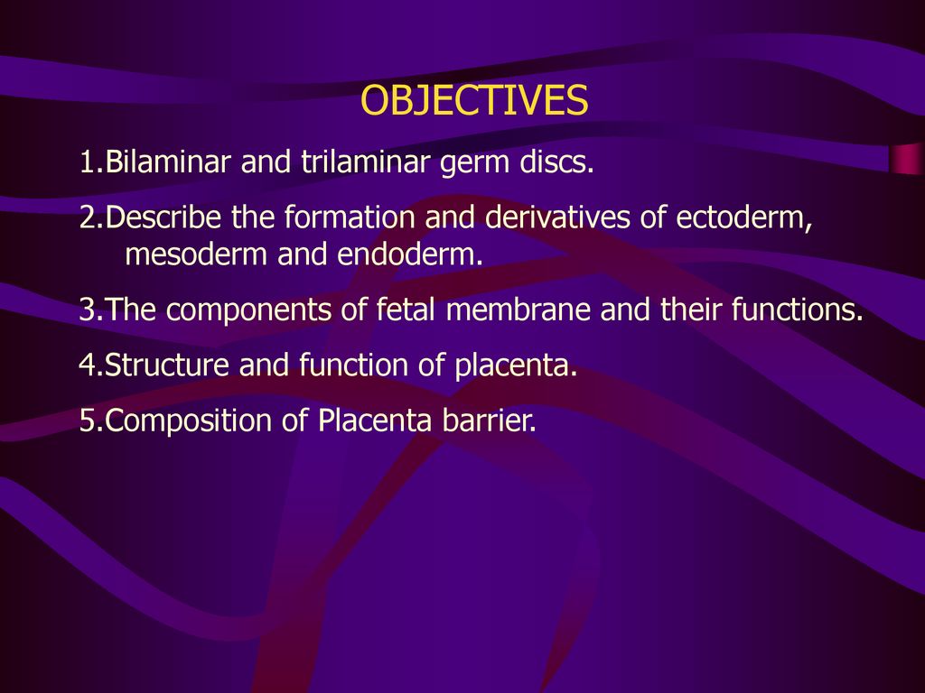 OBJECTIVES 1.Bilaminar and trilaminar germ discs.