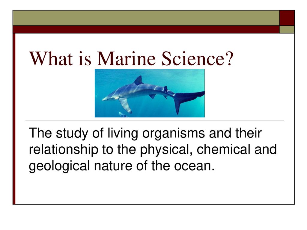 What is marine science the study of living organisms and their