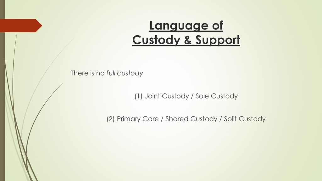 joint custody with primary care