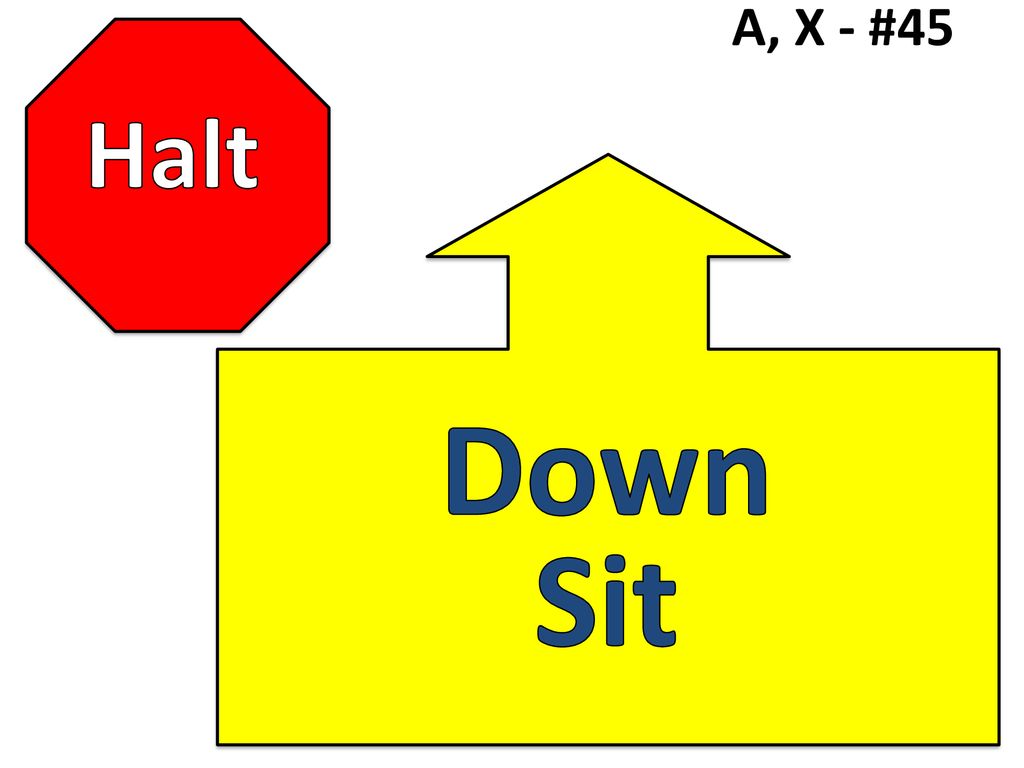 A, X - #45 Halt Down Sit