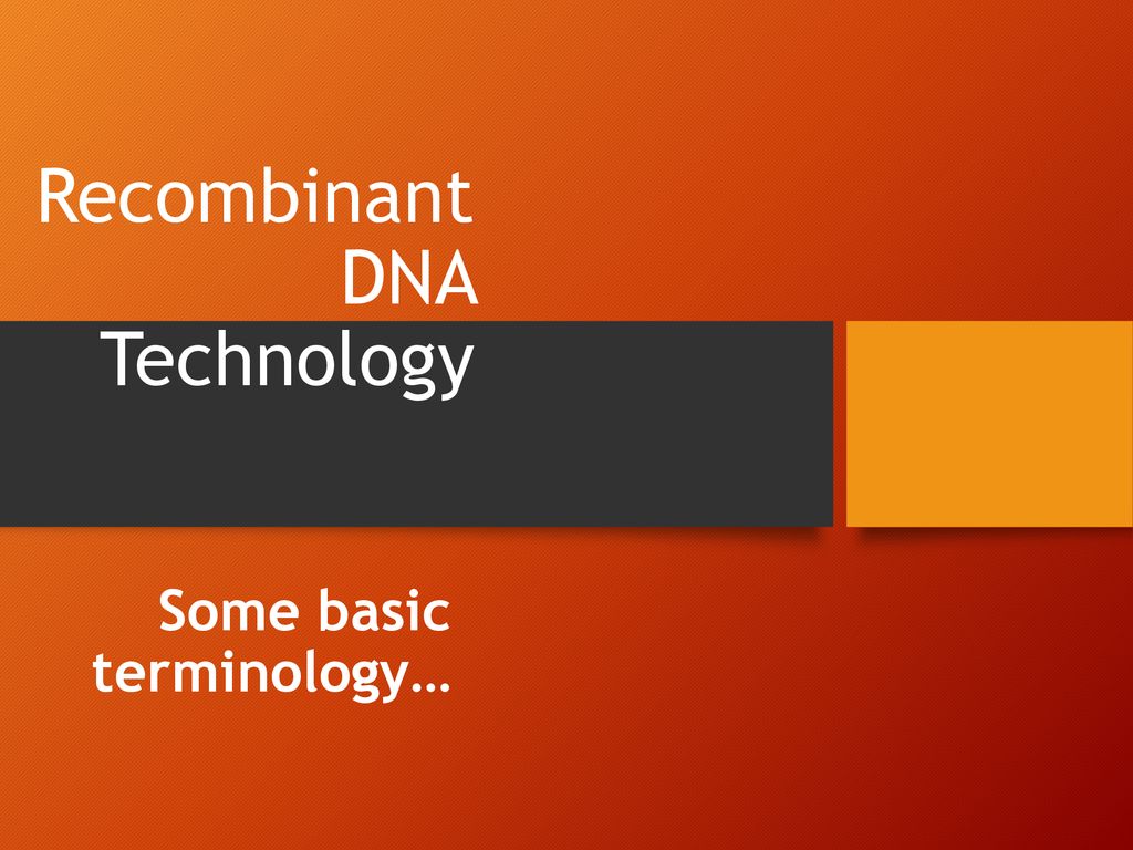 Recombinant DNA Technology - Ppt Download