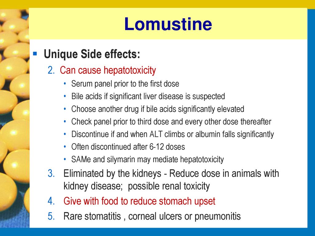 can lomustine cause ulcers in dogs