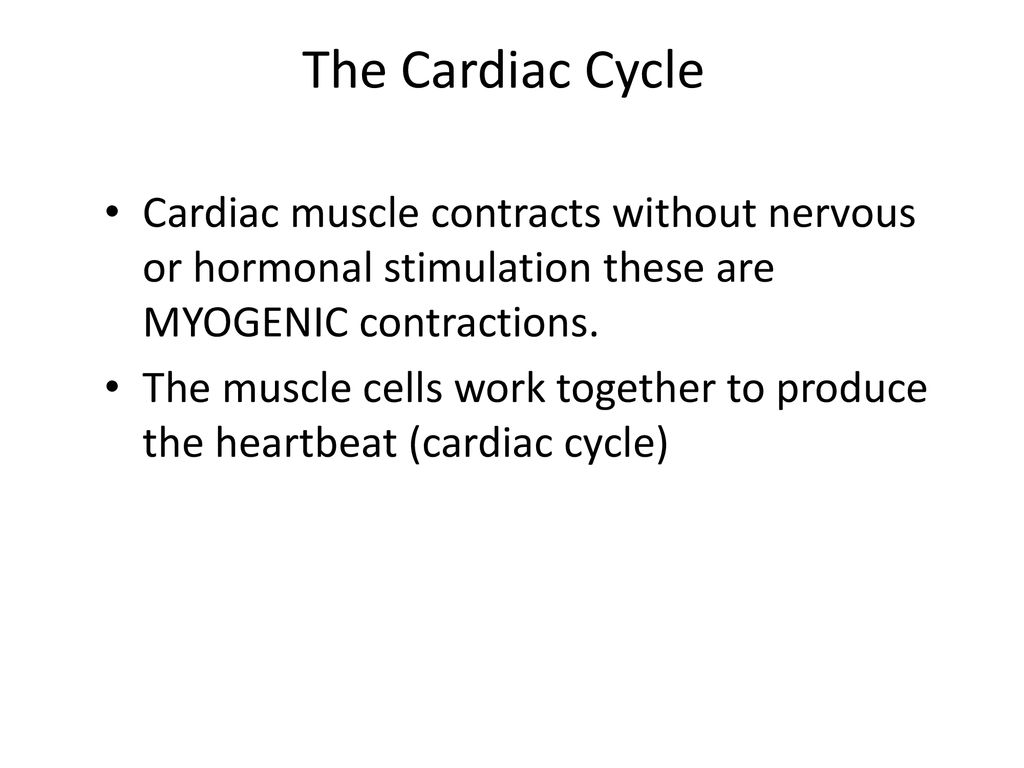 myogenic contractions of the cardiac cycle