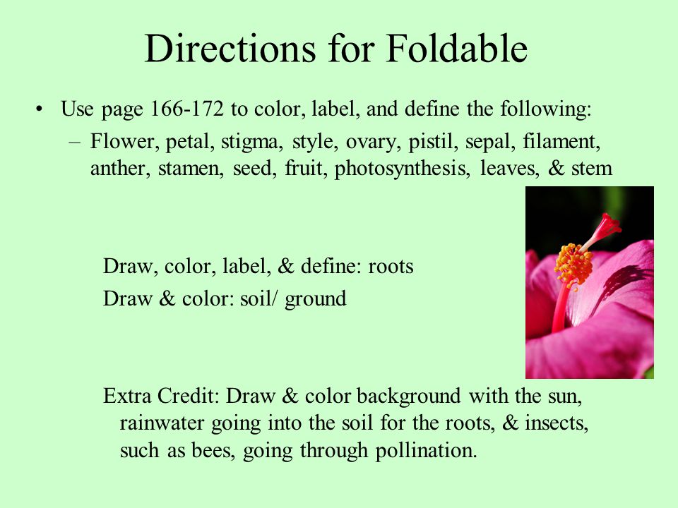 Directions for Foldable