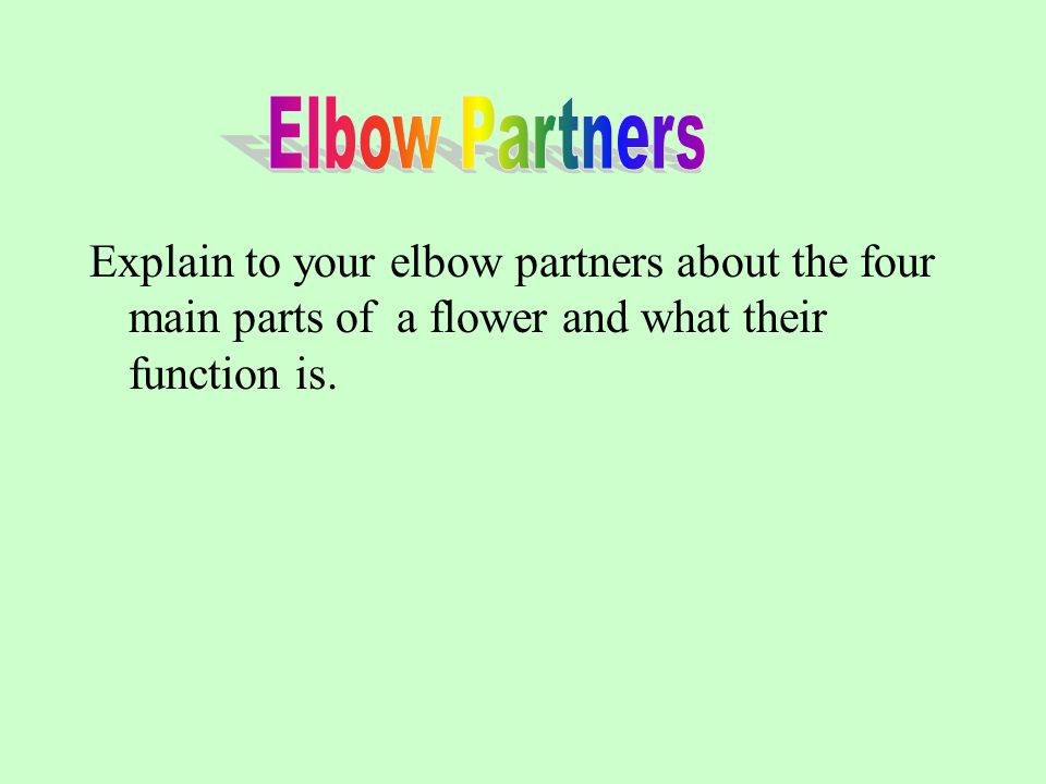 Elbow Partners Explain to your elbow partners about the four main parts of a flower and what their function is.