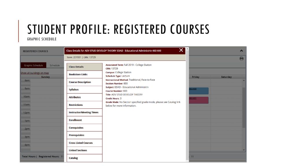 Student Profile: Registered Courses Graphic Schedule