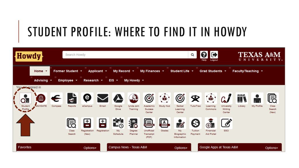 Student Profile: Where to Find it in Howdy