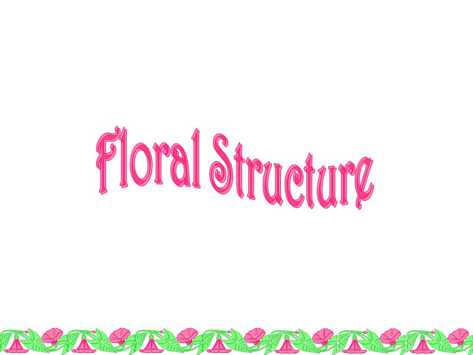 Floral Structure
