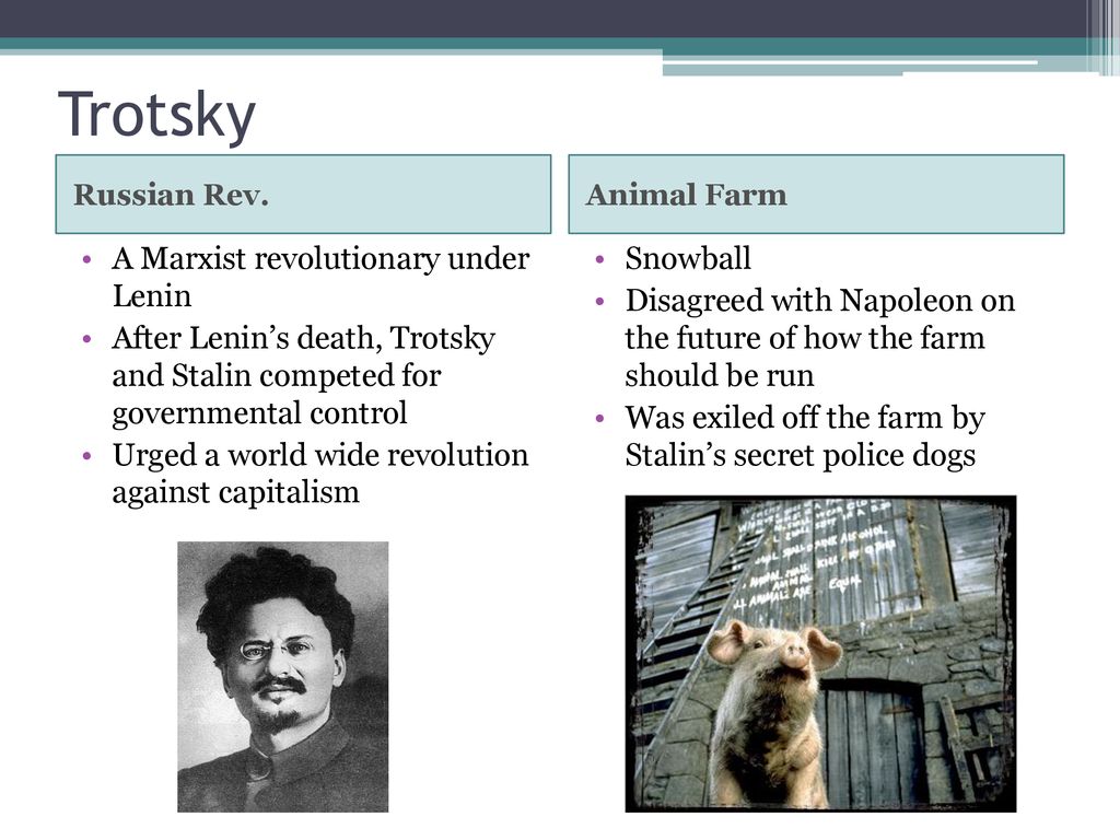 trotsky and stalin animal farm