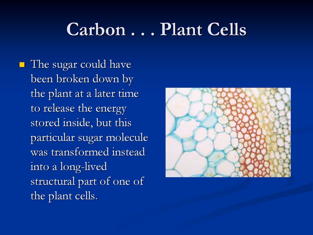 Carbon Plant Cells