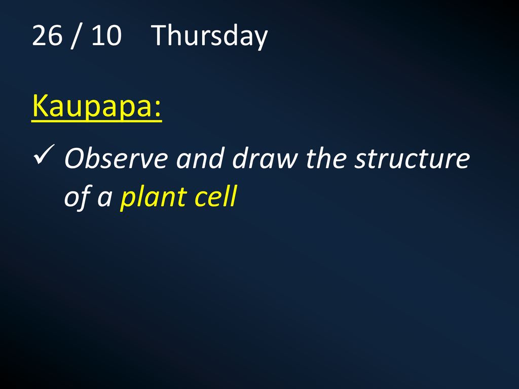 26 / 10 Thursday Kaupapa: Observe and draw the structure of a plant cell
