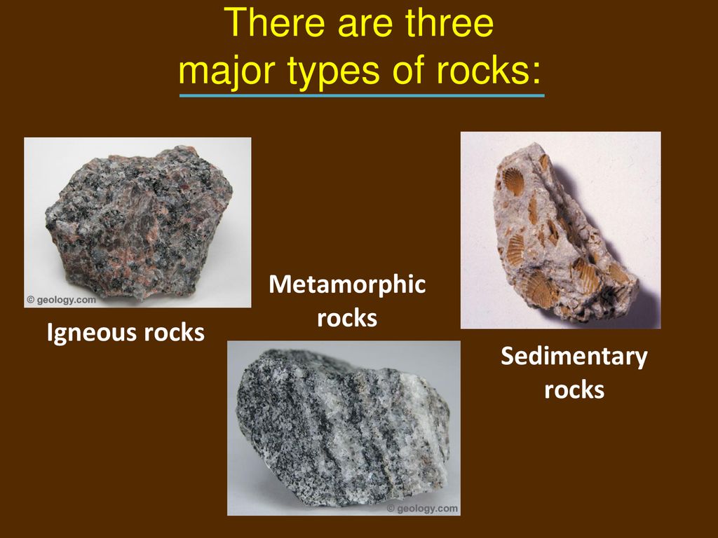 Chapter 3 Rocks 3 1 The Rock Cycle Ppt Download coneflower-companion-plants
