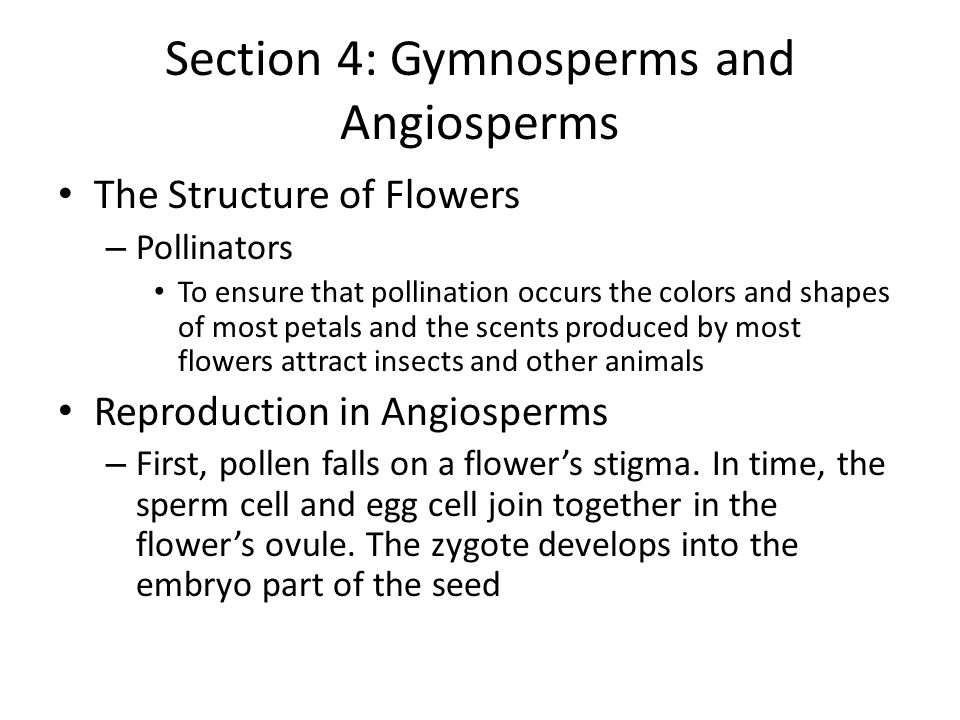 Section 4: Gymnosperms and Angiosperms