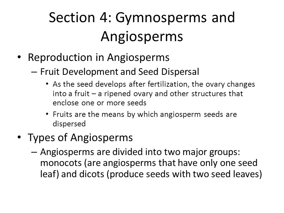 Section 4: Gymnosperms and Angiosperms