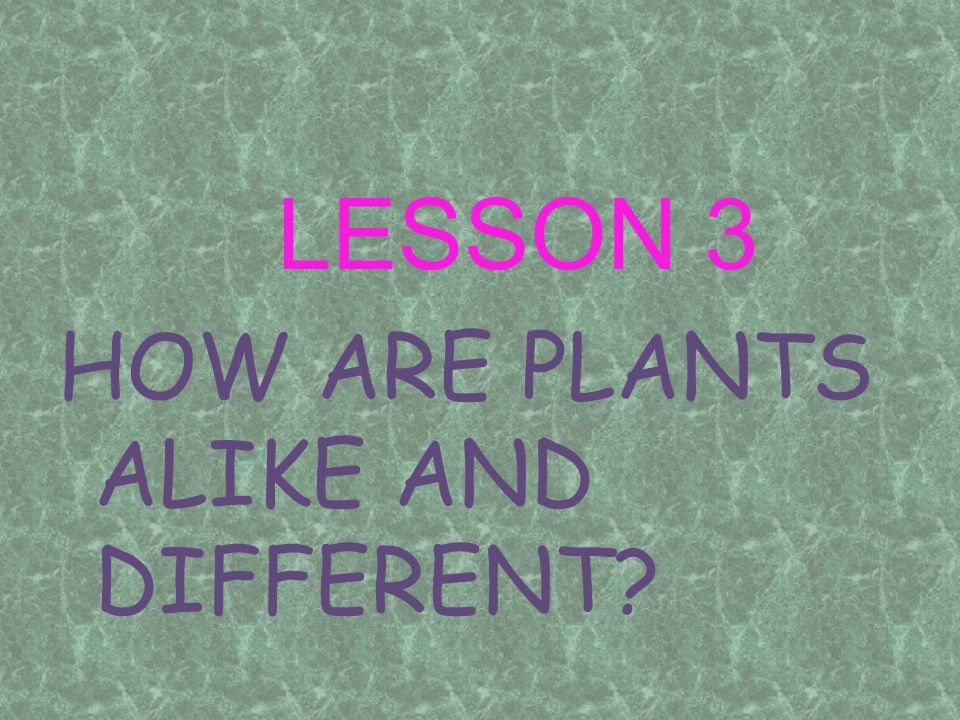 LESSON 3 HOW ARE PLANTS ALIKE AND DIFFERENT