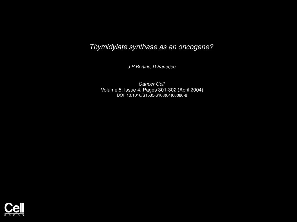 Thymidylate synthase as an oncogene? - ppt download