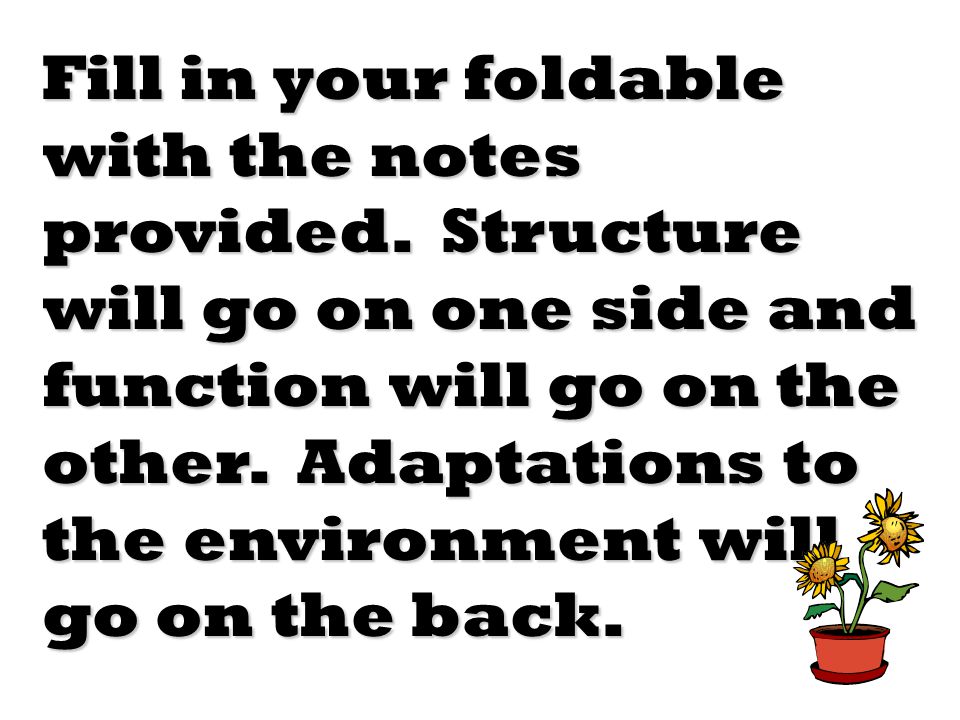 Fill in your foldable with the notes provided