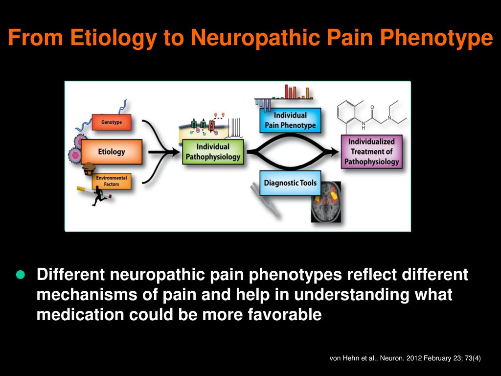 From Etiology to Neuropathic Pain Phenotype