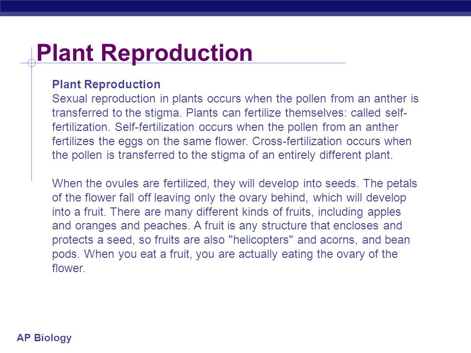 Plant Reproduction Plant Reproduction