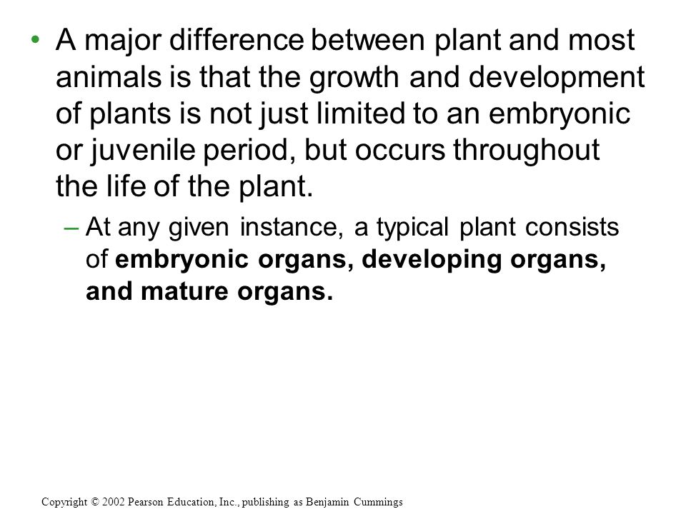 Plant Growth and Development - ppt video online download