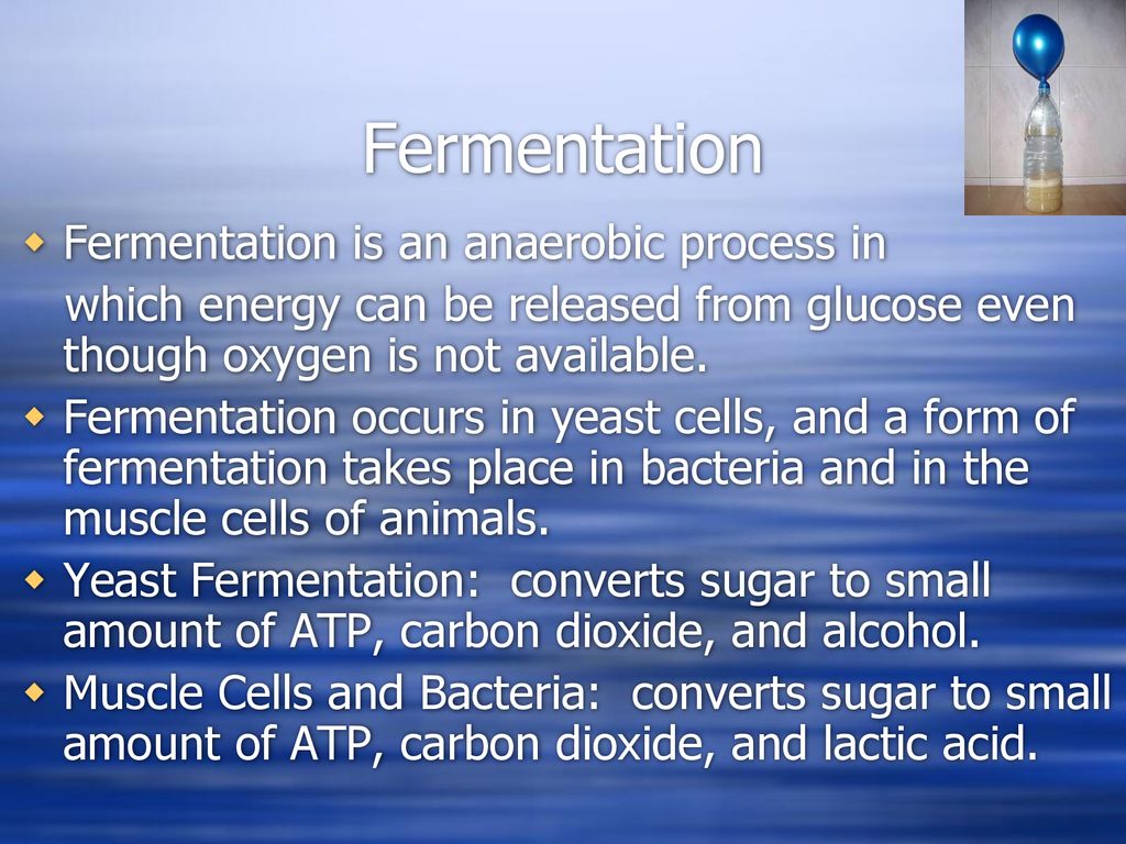 Cell Energy & Reproduction - ppt download