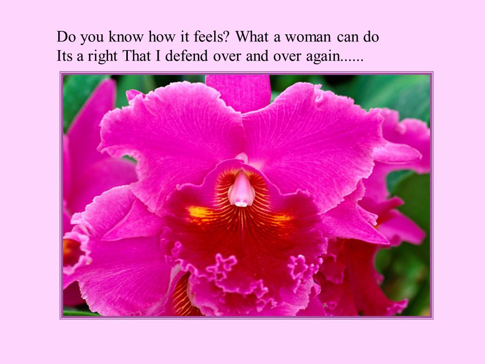 Do you know how it feels What a woman can do Its a right That I defend over and over again......