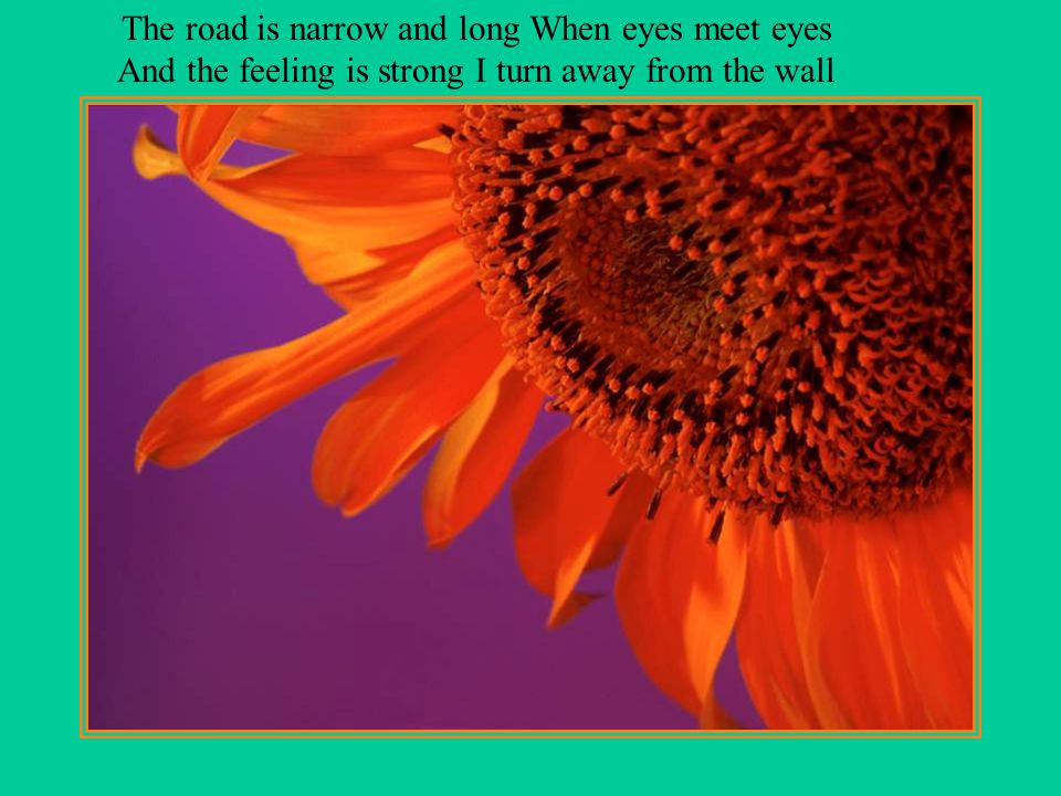 The road is narrow and long When eyes meet eyes