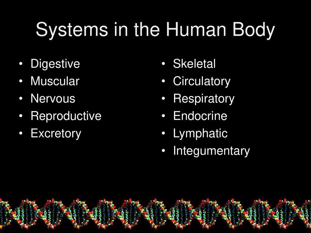 Cells to Systems Directional Anatomy. Biology Diagrams