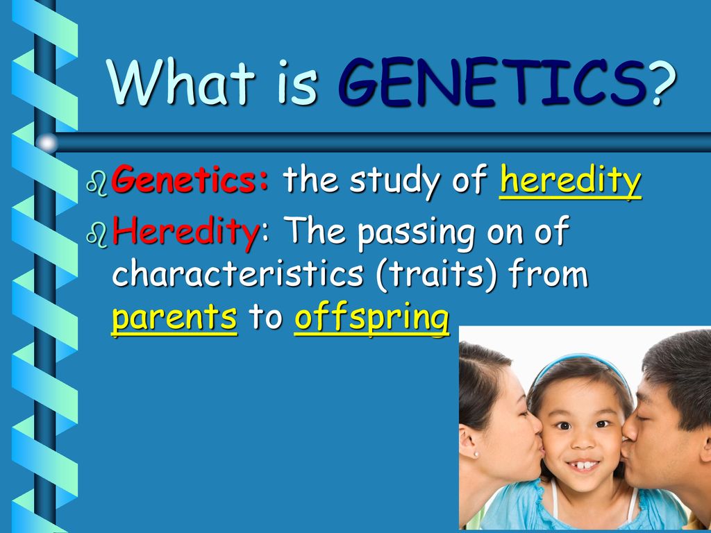Mendel’s Laws of Heredity - ppt download