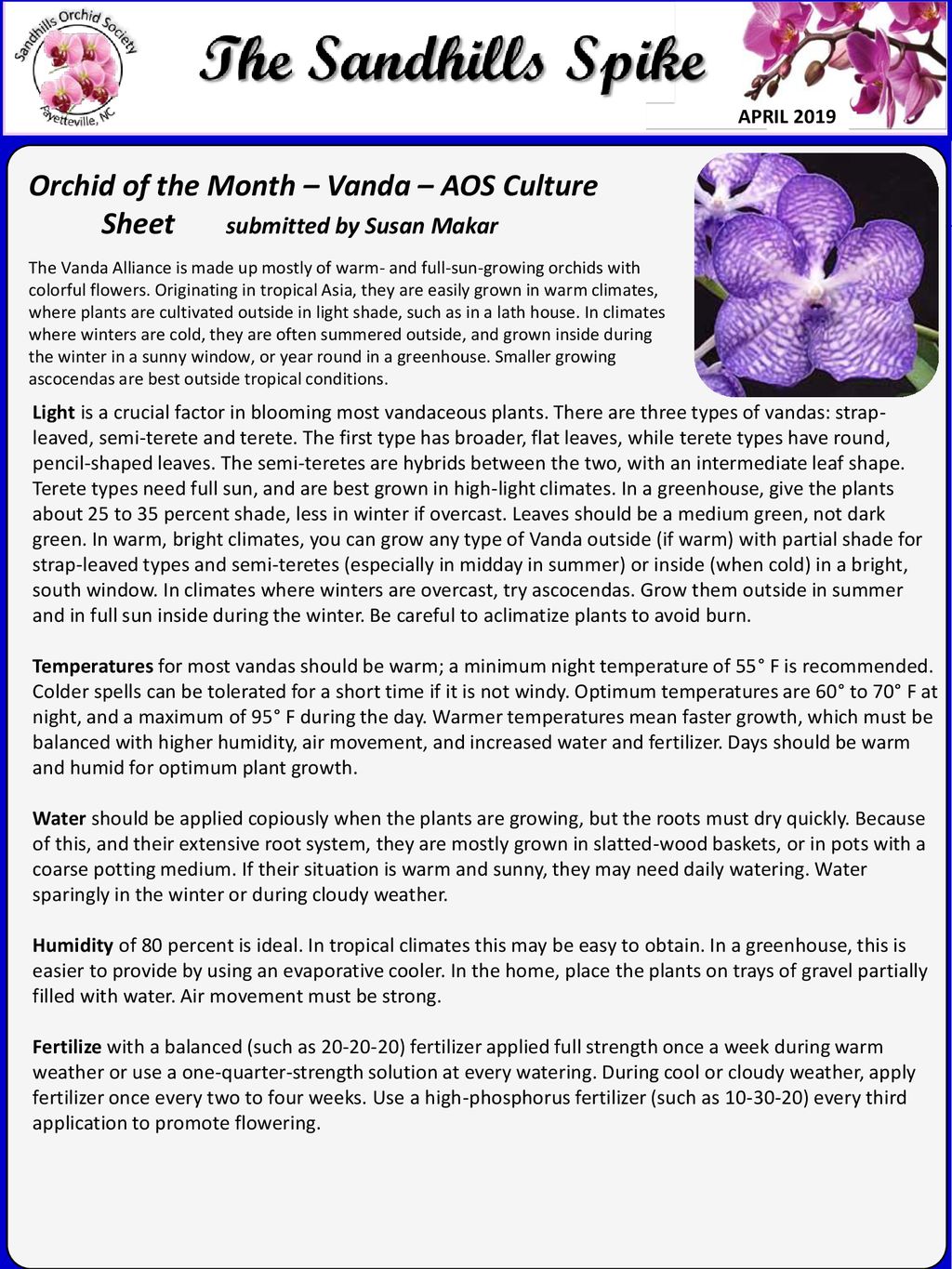 Orchid of the Month – Vanda – AOS Culture - ppt download
