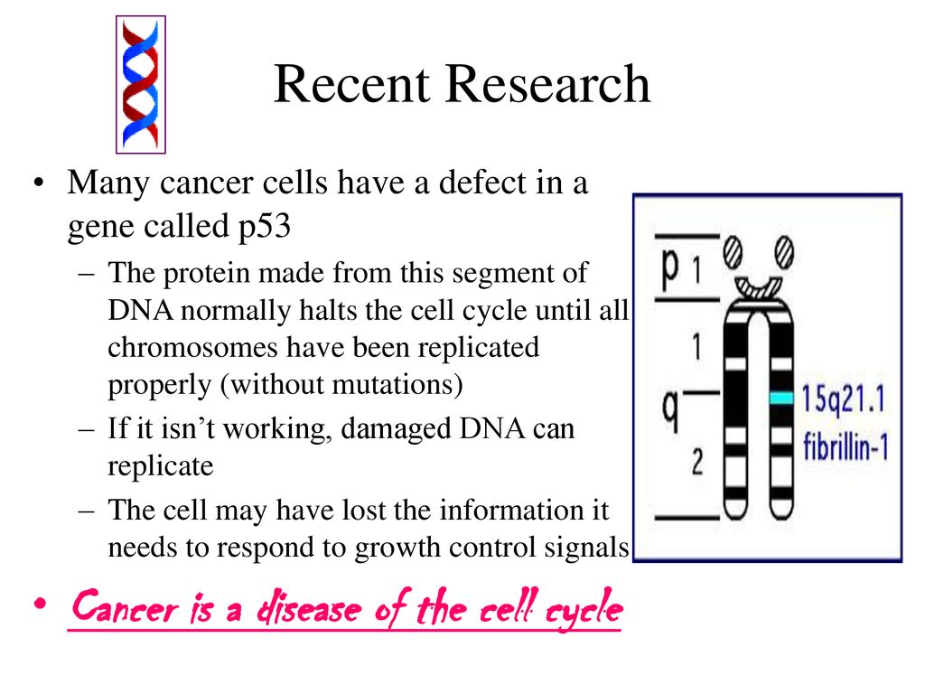 3 Regulating the Cell Cycle Biology Diagrams