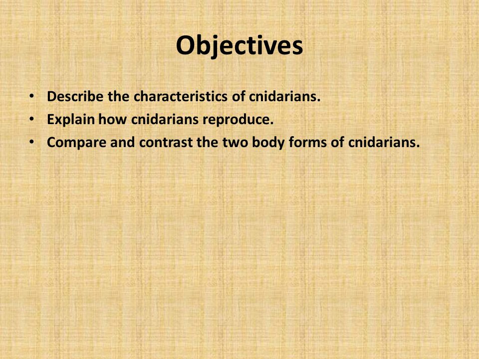 Objectives Describe the characteristics of cnidarians.
