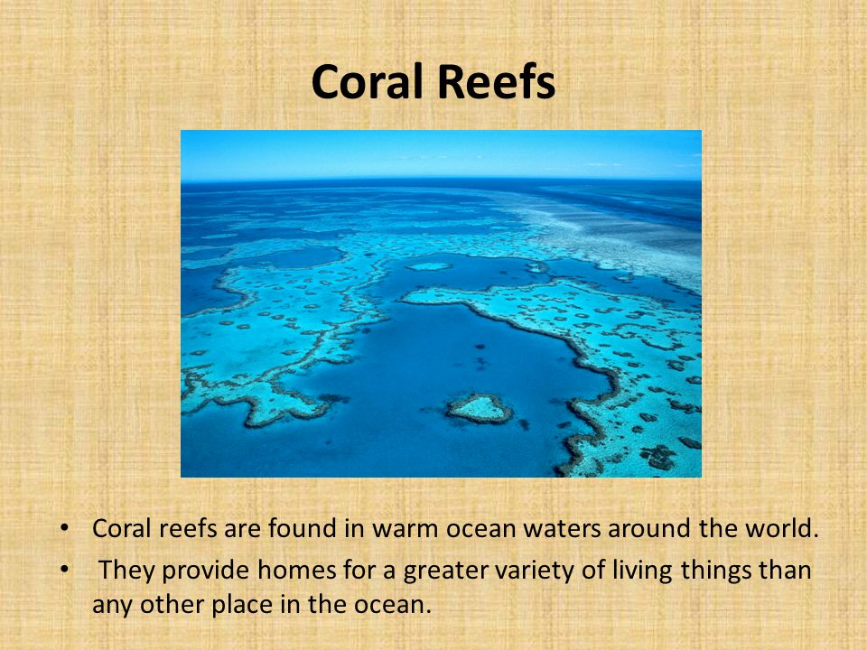 Coral Reefs Coral reefs are found in warm ocean waters around the world.