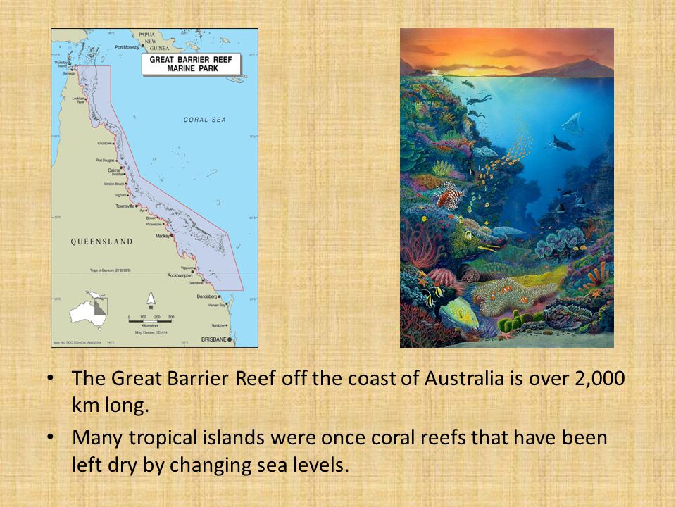 The Great Barrier Reef off the coast of Australia is over 2,000 km long.