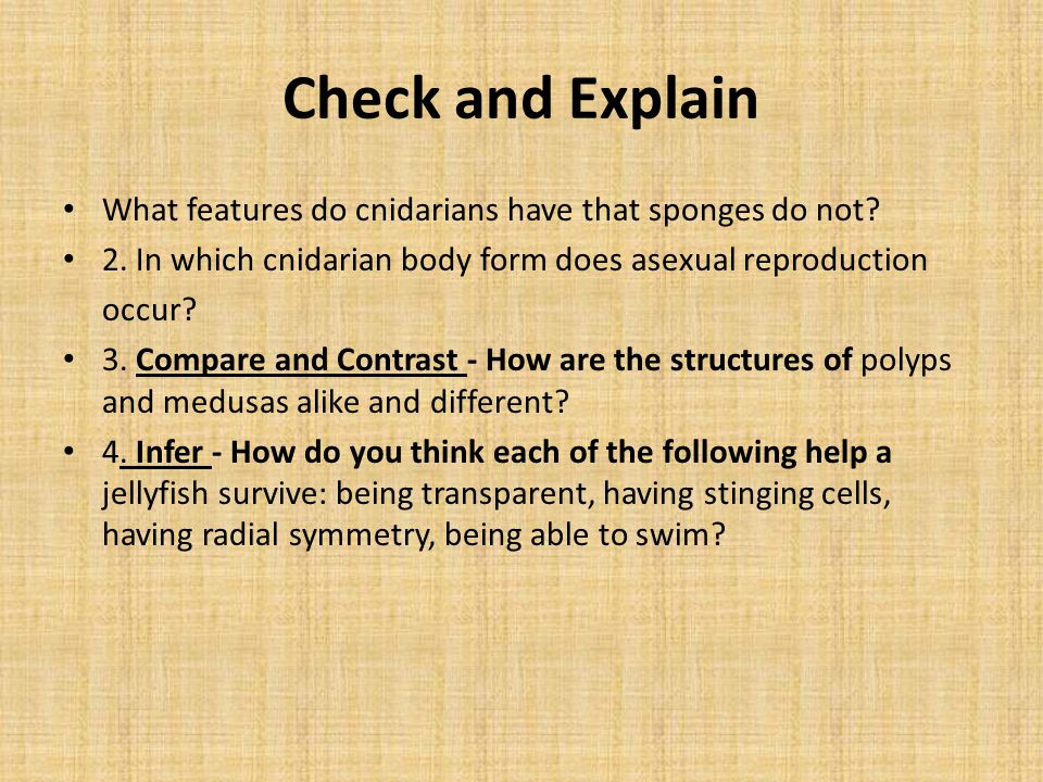 Check and Explain What features do cnidarians have that sponges do not 2. In which cnidarian body form does asexual reproduction.
