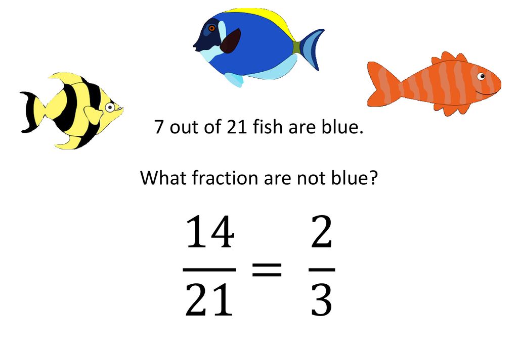 What fraction are not blue