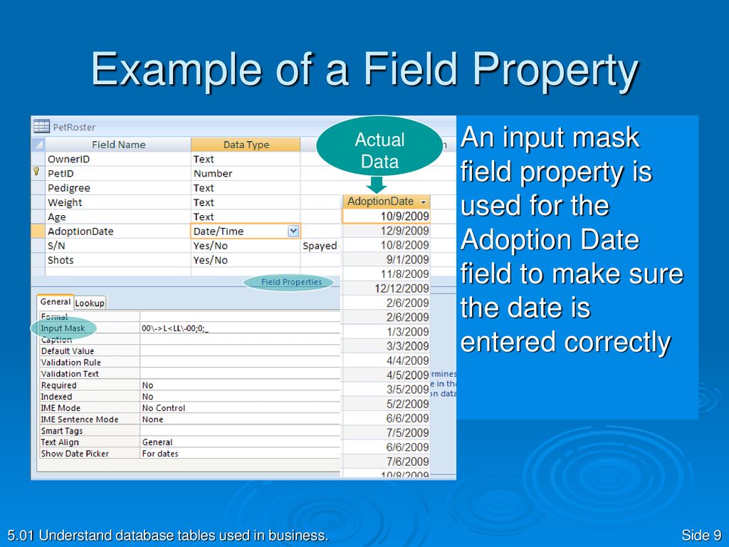 Database field. Understanding database product презентация. Field in database. Field properties in access. Database fields