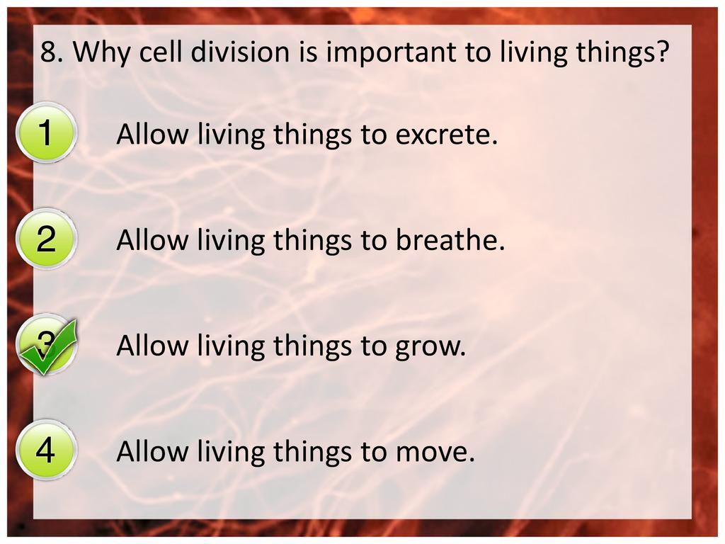 8. Why cell division is important to living things