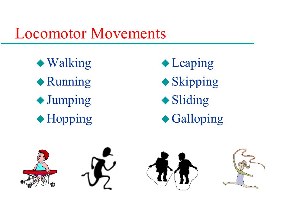 Locomotor Movements Walking Running Jumping Hopping Leaping Skipping