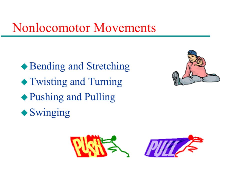 Nonlocomotor Movements