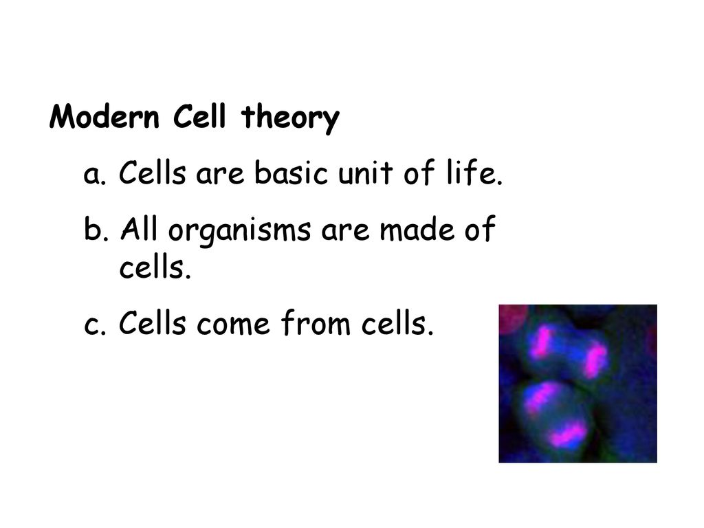 Modern Cell Theory Cells Are Basic Unit Of Life Ppt Download modern-cell-theory-cells-are-basic-unit-of-life-ppt-download
