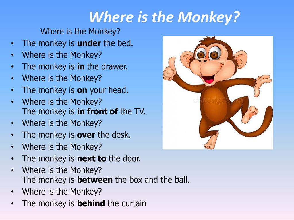 A chimp can sing. Where''s the Monkey. The first Monkey is kind стих. Where the Monkey текст. The Chimp is funny заменить местоимением.