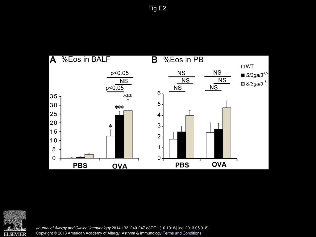 Mice deficient in the St3gal3 gene product α2,3 sialyltransferase ...