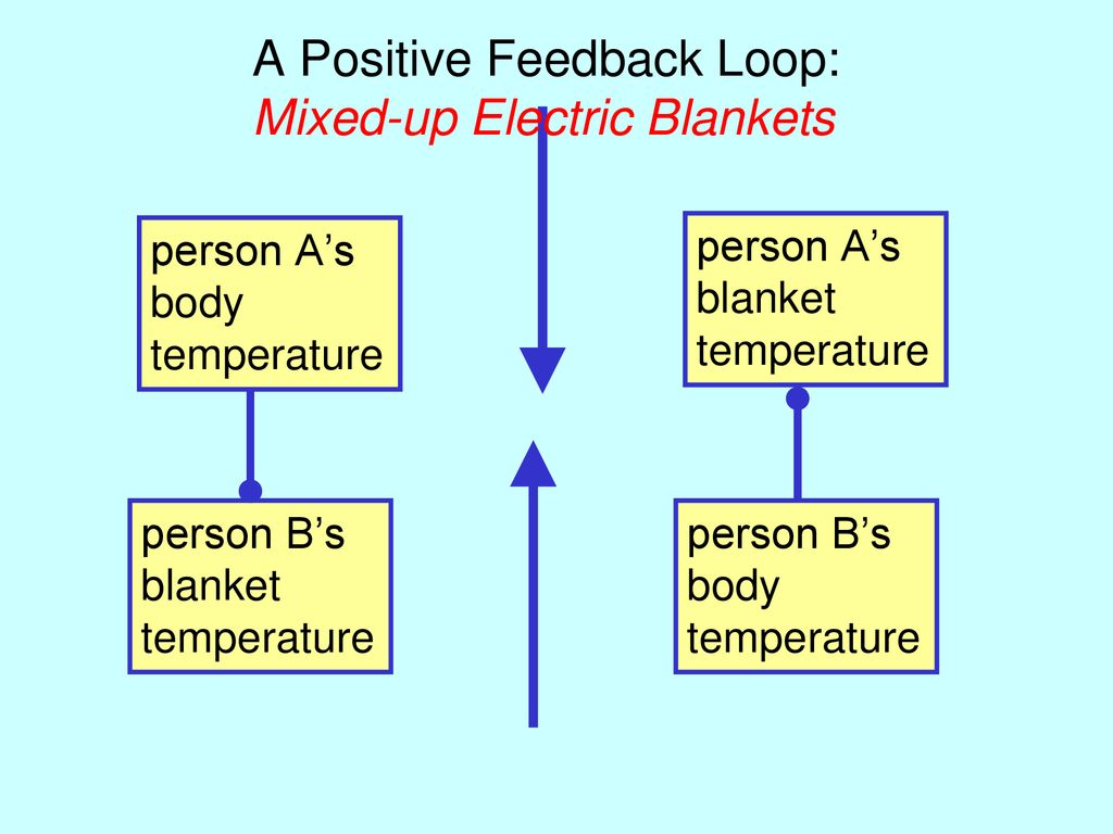 A Positive Feedback Loop: Mixed-up Electric Blankets